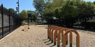 The Flamingo Gallery 8