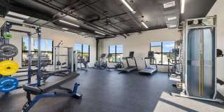 Illustrator Gallery 9