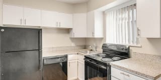 Bella Vista CO Gallery 3