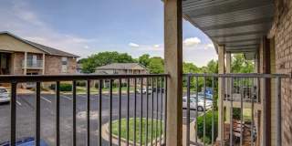 Sunset Woodland Gallery 8