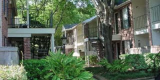 Walnut Terrace Gallery 22