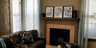 Oxford at Sonterra Gallery 20