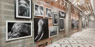 1989 Main Apartments 1989 Main Apartments Gallery 43