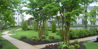 Affordable Housing - Dulles Center Gallery 11