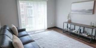 Brick Towne at Signature Village Gallery 4