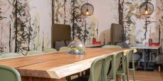 Regency Park Gallery 16