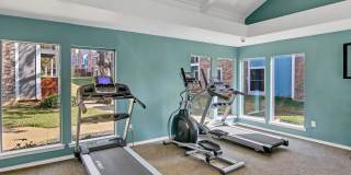 Diamond Loch Gallery 17