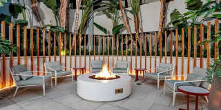 The Oasis Gallery 9