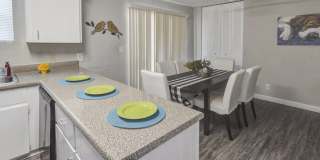 The Onyx at 3211 Gallery 44