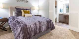 The Enclave At Arlington Gallery 17