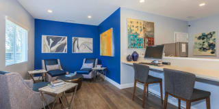 Saddleback Ranch Gallery 22