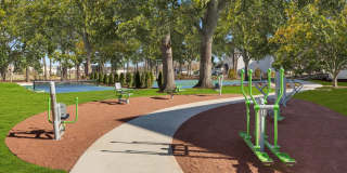 Albion on Lake Cook Gallery 25