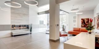 Tenley View Gallery 14