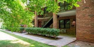 Forest Village on the Greenway Gallery 22