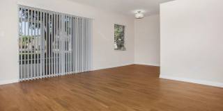 Milo Bayside Gallery 1