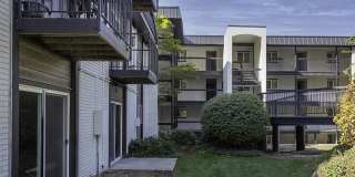 Lookout Pointe Gallery 52