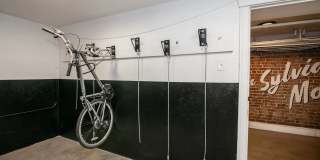 Sylvia Mae Gallery 5
