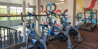 Viceroy Observatory Park Gallery 18