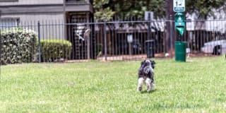 Seasons Apartments Gallery 7