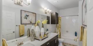 Republic  House at Frisco Bridges Gallery 12