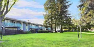 Camden Village Gallery 25