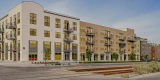 Vida at Daybreak Gallery 18