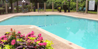 Alexis Park Gallery 24