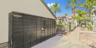 Desert Sage Gallery 36