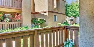 Birchmont Apartment Homes - Senior Housing Gallery 19