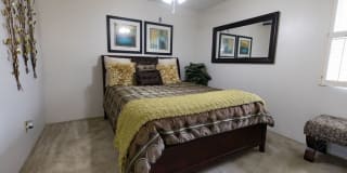 Crest Oasis Gallery 33