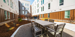 Ralston Gardens Gallery 19