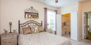 Stone Mist Gallery 11