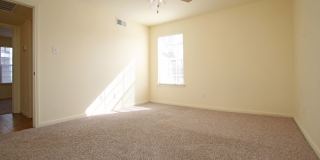 The Vintage Gallery 6