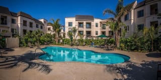 Renaissance at City Center Gallery 21