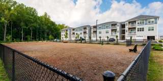 Emblem at Christiana Gallery 41