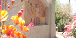 Sunrise Vista Gallery 3