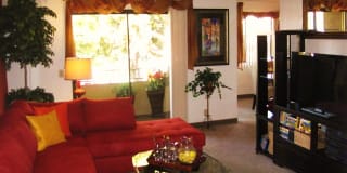 Summerhill Pointe Apartments Gallery 12