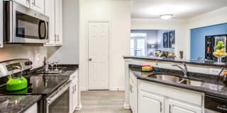 Vivant Woodholme Gallery 5