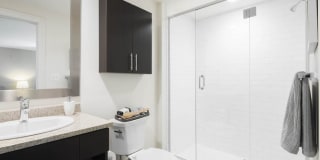 Schenley Apartments Gallery 11