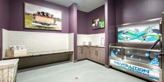 Arbuckle II Gallery 21