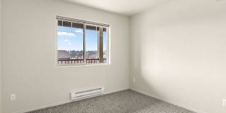 Baseline Woods Gallery 11