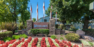 The Woodlands The Woodlands Gallery 28