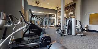 5151 5151 Gallery 23