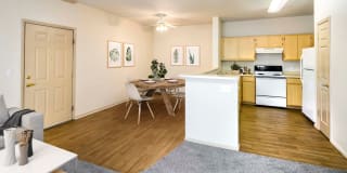 Natomas Park Gallery 5