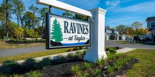 Ravines at Taylor Gallery 16