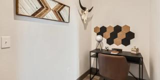 Volta at Voyager Gallery 16