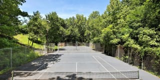 Cross Creek Gallery 20