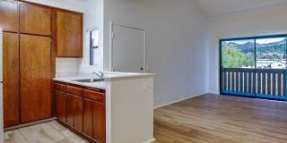 Birchmont Apartment Homes - Senior Housing Gallery 6