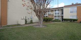 The Vintage Gallery 19