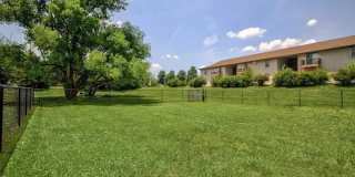 Sunset Woodland Gallery 9